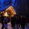 Waldweihnacht - 4. Advent